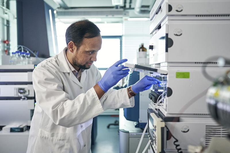 Chhana Ullah characterizing transgenic high salicylic acid poplar lines.