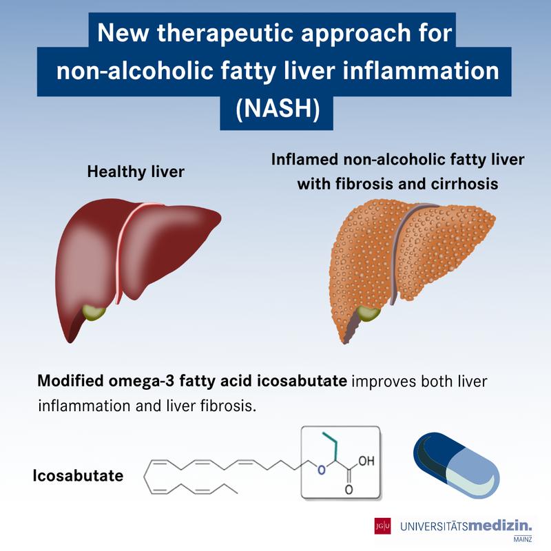 For the treatment of non-alcoholic fatty liver hepatitis (NASH), researchers at Mainz University Medical Center have developed the modified omega-3 fatty acid icosabutate. The innovative drug inhibits both inflammation and scarring of the liver.