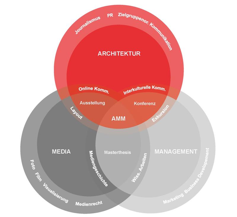 Das Schema stellt Themen, Inhalte und Struktur des Masterstudiengangs AMM dar.