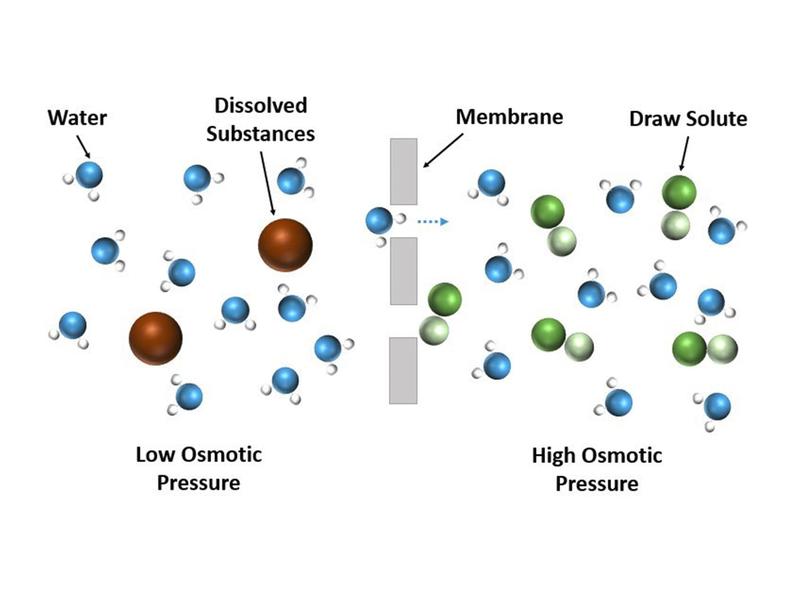 Darstellung des Vorwärtsosmose-Prozesses