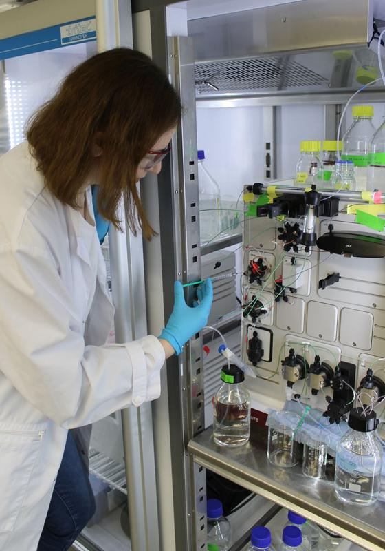 Dr. Vladyslava Gorbovytska bei der Aufreinigung der Molekülkomplexe, die die Voraussetzung für den erfolgreichen Abschluss der Studie waren.