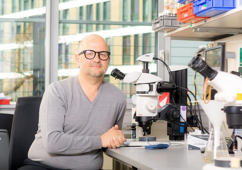 Prof. Tobias Langenhan in his laboratory at the Rudolf Schönheimer Institute of Biochemistry.