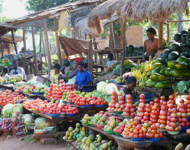 A diverse food supply is extremely important for healthy development. 