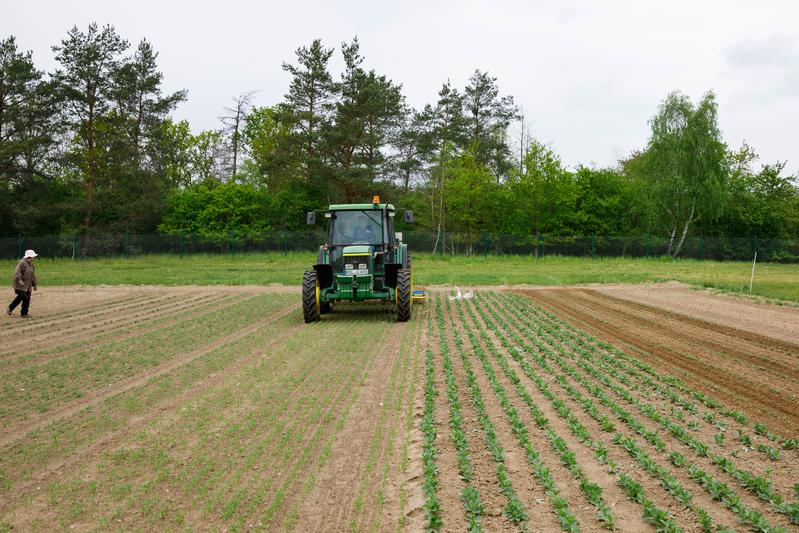 Wie funktioniert Carbon Farming, trägt es zur Klimaneutralität in der Landwirtschaft bei, und welche Rolle spielen dabei Humuszertifikate? Über diese und andere Fragen gibt Dr. Carsten Paul in einem Opinion Paper Auskunft.