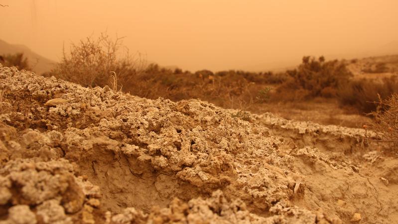 : Biologische Bodenkrusten festigen den Boden und sorgen dafür, dass weniger Sand aufgewirbelt wird und somit auch weniger Staubpartikel in die Atmosphäre gelangen.