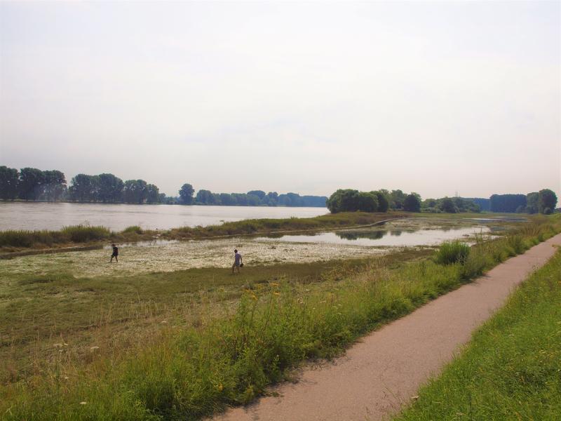 Sampling in the Rhine floodplain of Langel-Merkenich