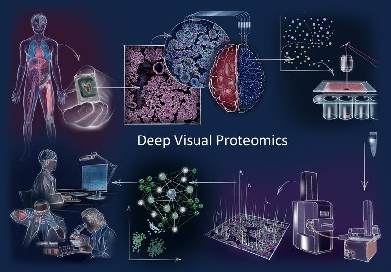 Deep Visual Proteomics Konzept und Arbeitsablauf