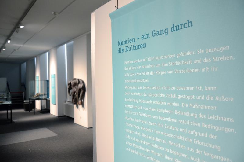 Ausstellungsansicht mit Texttafel 