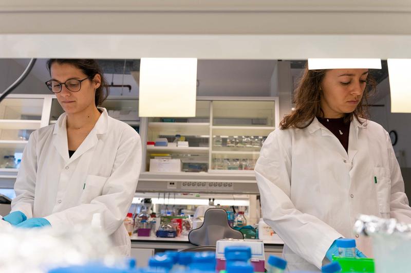  Francesca Pinton und Petra Kovacikova forschen im Labor mit verschiedenen Lebewesen.
