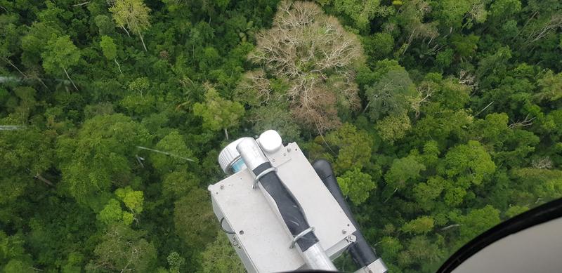 Top view of the lidar sensor mounted in the helicopter while scanning the tropical forest below