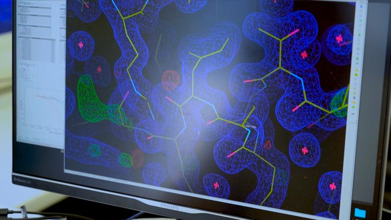 Neueste Entwicklungen im computergestützten Proteindesign erlauben es, Sequenz- und Strukturänderungen von Proteinmolekülen zu simulieren, um neuartige Wirkstoffe in der Humanmedizin zu entwickeln. 