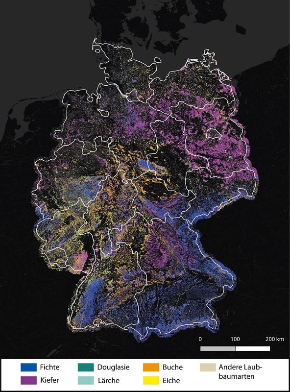 Die Karte spiegelt das großräumige allgemeine Muster der vorherrschenden Baumarten in Deutschland wider. 