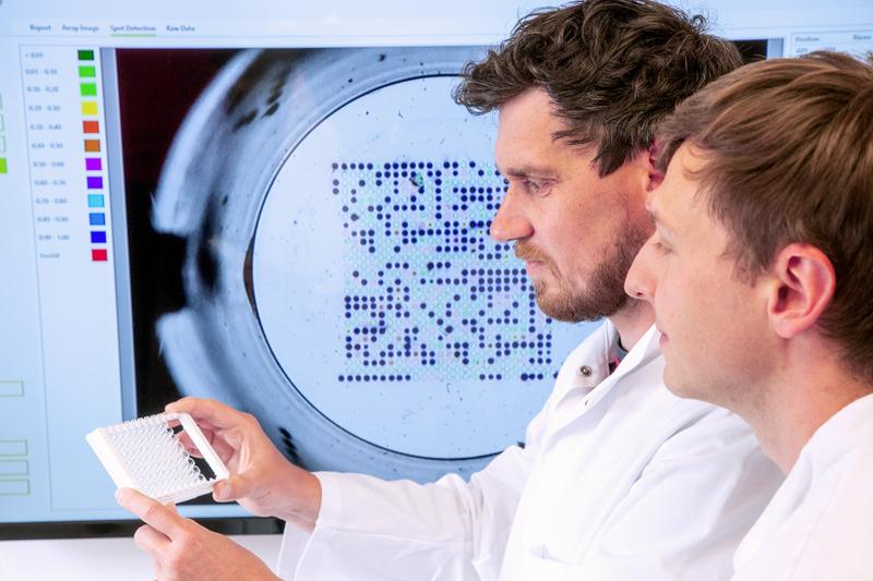 Wissenschaftler der fzmb GmbH betrachten mehrere "INTER-ARRAY"-Chips. Im Hintergrund ist ein solcher Microarray in Nahaufnahme bei der Auswertung zu sehen.