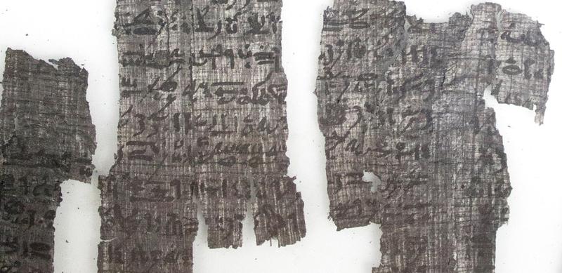 Ausschnitt des karbonisierten Papyrus aus Tanis.