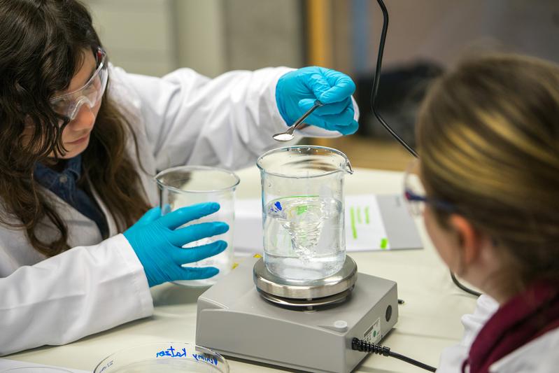 Schülerinnen und Schüler der Montessori Schule Herzogenaurach züchten während der MINT-Projektwoche „Kristalle“ mit dem Fraunhofer IISB eigene Alaun-Kristalle.