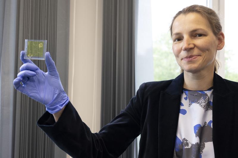 Prof. Dr. Nadine Buczek (THL) mit dem Prototyp einer Farbstoff-Solarzelle