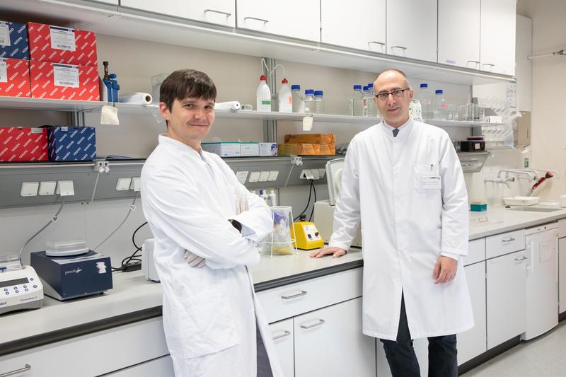 Dr. Martin Böttcher (links) und Prof. Dr. Dimitrios Mougiakakos von der Universitätsklinik für Hämatologie und Onkologie