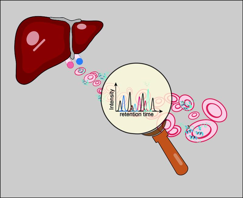 Mit Hilfe der massenspektrometrie-basierten Proteomik konnten die Forscher die Intensität wichtiger Proteine (Biomarker, Peaks im Graphen) messen und so alkoholbedingte Lebererkrankungen frühzeitig diagnostizieren. 
