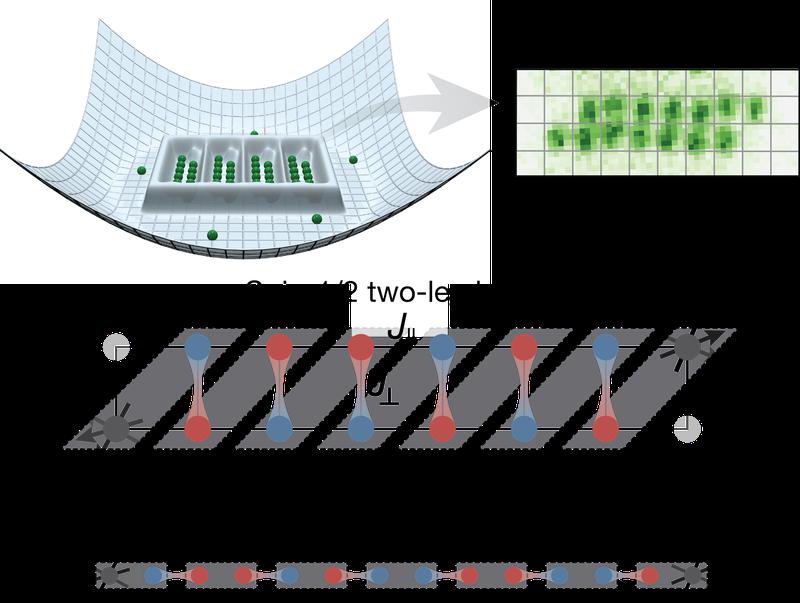 Illustration of the main concepts in the paper: on the left an illustration of the lattice potential used, on the right an exemplary snapshot of a single ladder with 14 individual atoms visible in green. [...]