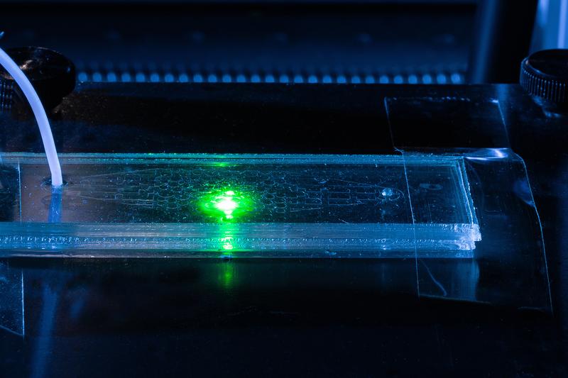 Untersuchung des Strömungsfeldes in einer Mikrofluidik-Zelle mittels nicht sichtbarer Mikropartikeln. Der grüne Punkt zeigt den Strahl des doppelt gepulsten YAG-Lasers.