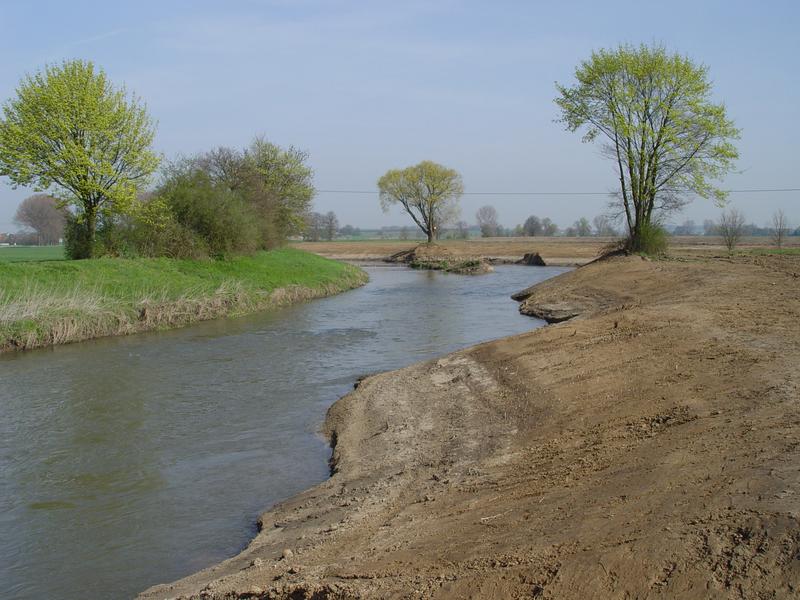 Renaturierung der Nidda: Entfernung des Deiches, Abflachung des Ufers und Anschluss der Aue. 