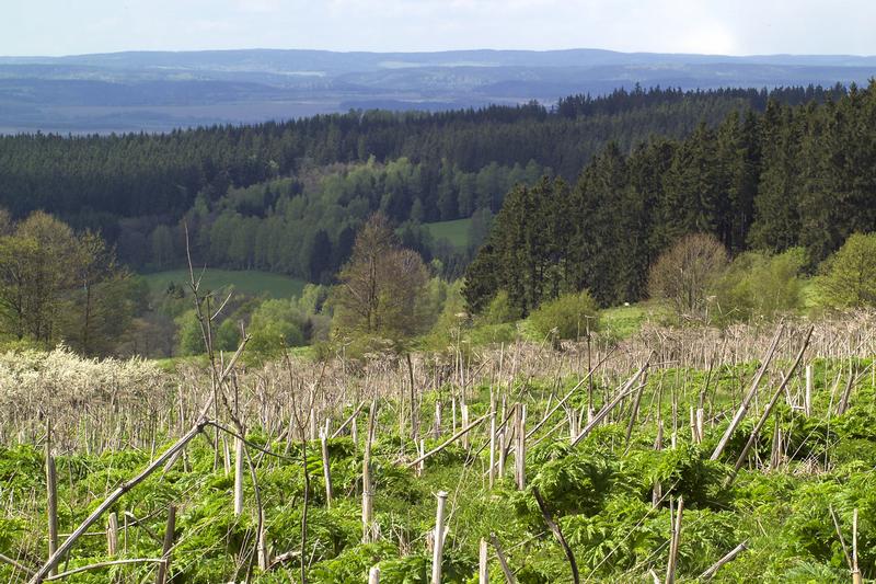 Das Egerbecken am Dreiländereck Böhmen-Bayern-Sachsen gilt als eines der sesimisch aktivsten Gebiete in Mitteleuropa.