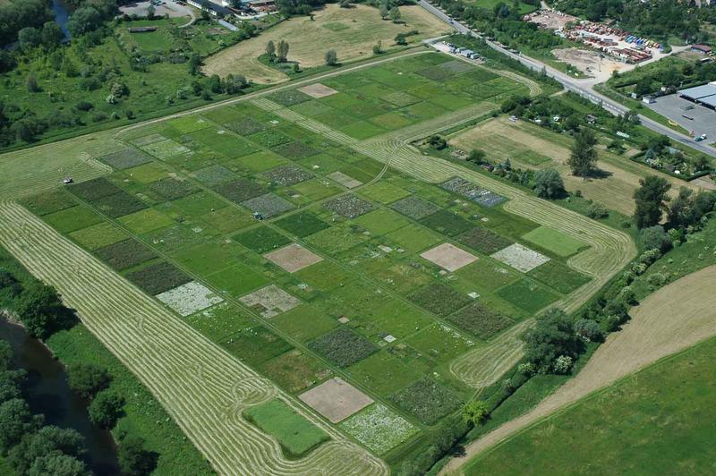 Das von der Deutschen Forschungsgemeinschaft (DFG) geförderte Jena Experiment startete im Jahr 2002 und ist eines der am längsten laufenden Biodiversitätsexperimente in Europa. 