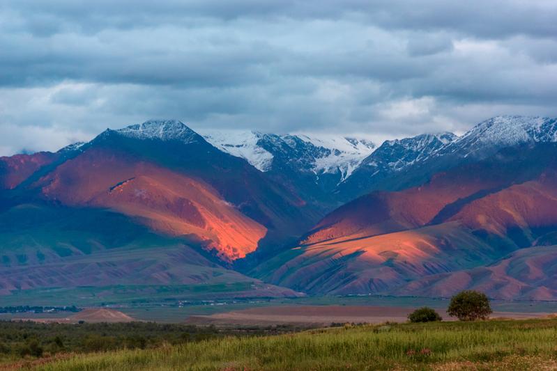 Blick auf das Tian Shan-Gebirge. Anhand von Analysen alter Pest-Genome konnten Forschende den Ursprung des Schwarzen Todes in Zentralasien, in einem Gebiet nahe des Yssykköl-Sees im heutigen Kirgisistan, verorten.