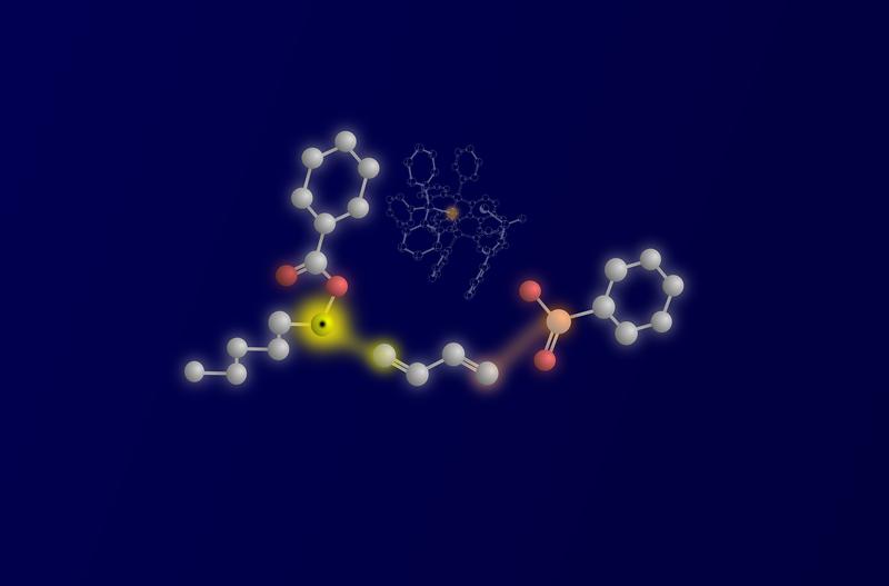 The three reactants and their linkage