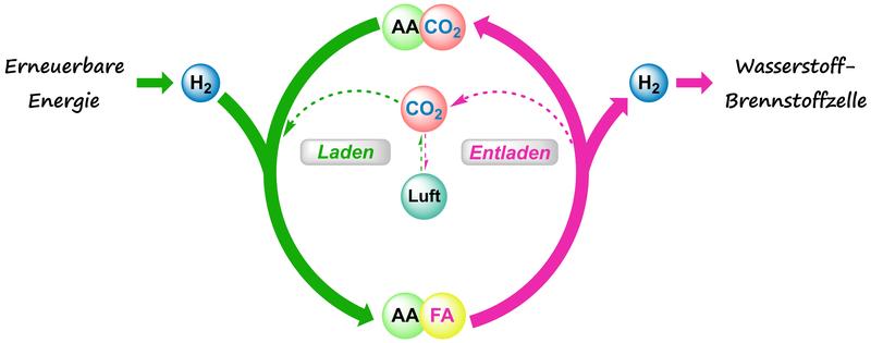 Chemische Speicherung und Freisetzung von H2 in der Wasserstoff-Batterie: CO2, Aminosäure (AA) und H2 reagieren zu Formiat, Salz der Ameisensäure (FA). Das CO2 verbleibt im Kreislauf (fette Pfeile), zum Vorteil gegenüber dem CO2-Recycling (gepunktet). 