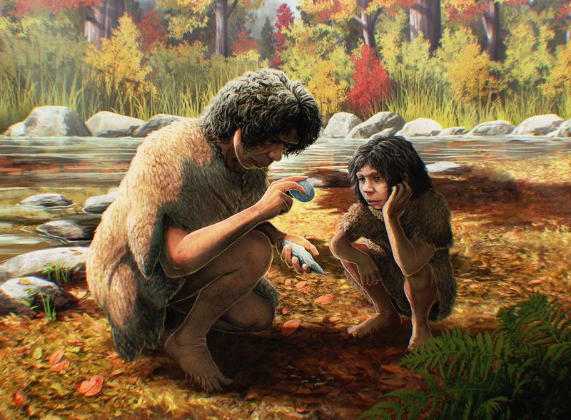 Der Homo heidelbergensis war ein Jäger und Sammler, der tierische und pflanzliche Nahrung zu sich nahm.