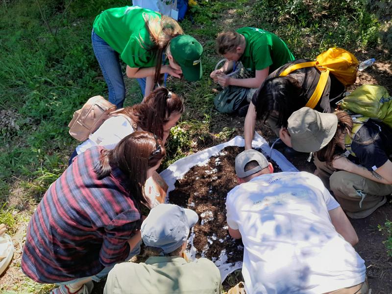 Recognizing and identifying biodiversity: Bioblitz at the Botanical Garden in Tbilisi, Georgia, organized by CaBOL, on May 26 - with approx. 110 participants including mainly school classes, students and interested citizens.