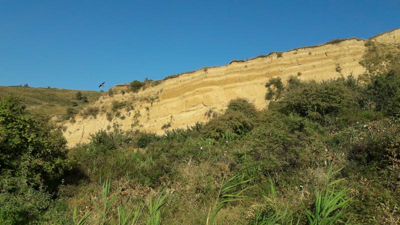Dust deposits, or loess, in a soil profile in Tajikistan. The alternating lighter and darker bands in the deposits correspond to drier and wetter conditions, respectively, as the layers were deposited. In this way, the loess provides informatio