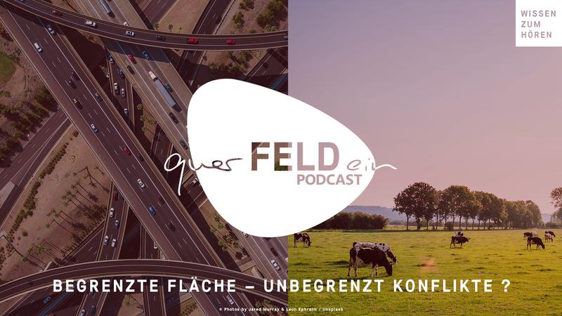 In dieser Folge des querFELDein-Podcast spricht Julia Lidauer mit der Forscherin Meike Fienitz über verschiedene Aspekte von Landnutzungskonflikten.