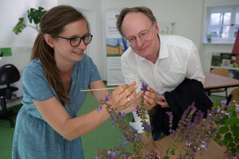 Identifying plants: Lisabeth Hoff from the Green Learning Workshop and Prof. Dr. Rainer Hüttemann, Chairman of the University Foundation.
