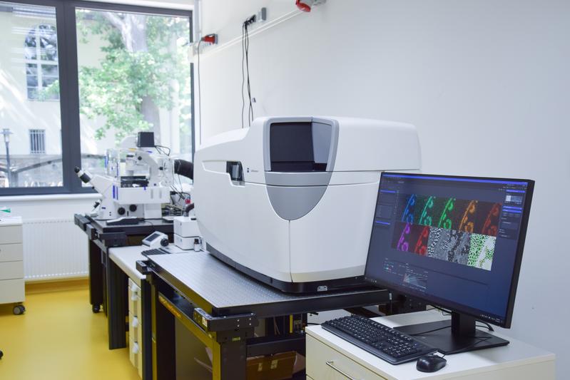 Live cell microscope „Celldiscoverer 7“ 