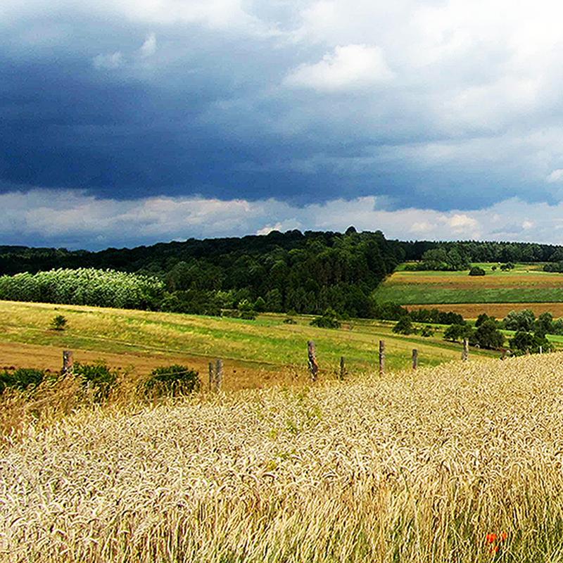 Landschaft bei Ebergötzen in der Nähe von Göttingen, Deutschland. Aufgenommen 2015.