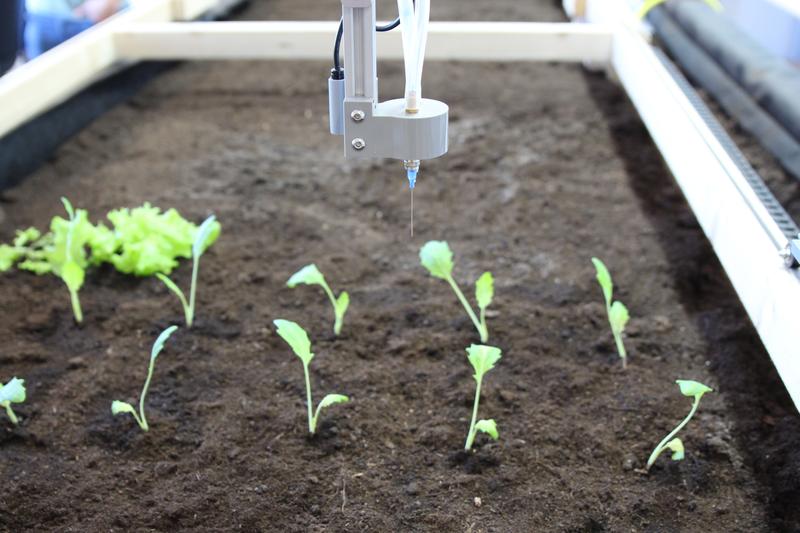 FarmBot im Einsatz: Die TUK lädt zum Mit-Programmieren ein / 