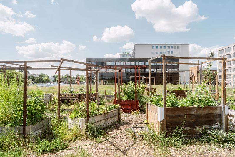 Urban Garden als Beispiel für Nachhaltigkeit am Campus der HTW Berlin