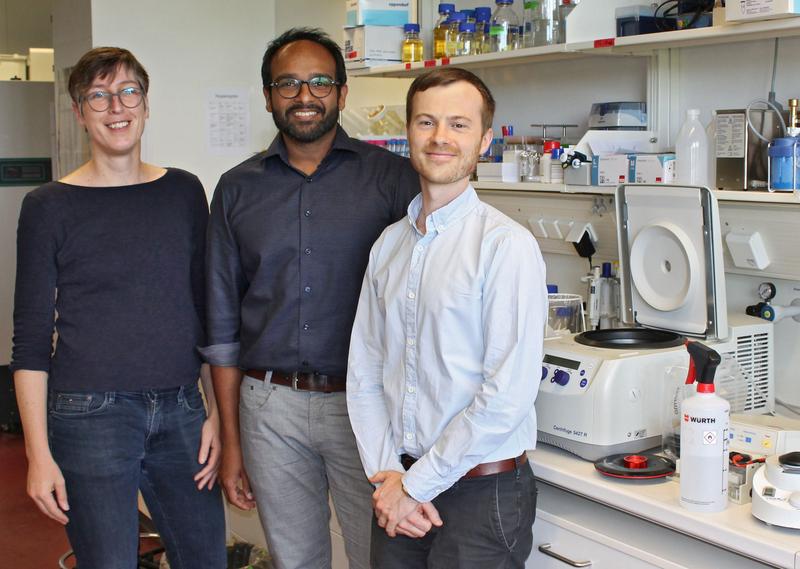 Das Bayreuther Autorenteam: Prof. Dr. Birte Höcker, Sooruban Shanmugaratnam und Dr. Guto Rhys (v.l.). 