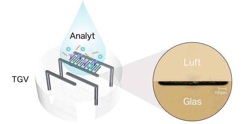 Möglicher Biosensor mit integrierten metallischen Strukturen in Glas für die Detektion von Enzymreaktionen oder Antigen-Antikörper-Interaktionen.