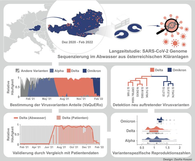 Graphical abstract