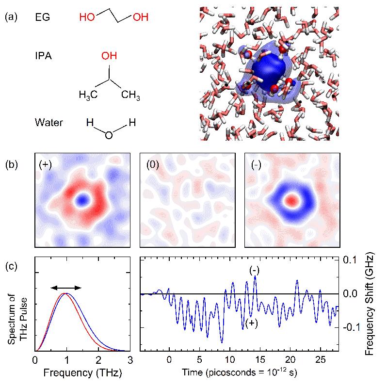 Chemische Strukturen von Ethylenglykol (EG), Isopropanol (IPA) und Wasser (links), zusammen mit einem Cartoon eines in Wasser solvatisierten Elektrons (rechts).