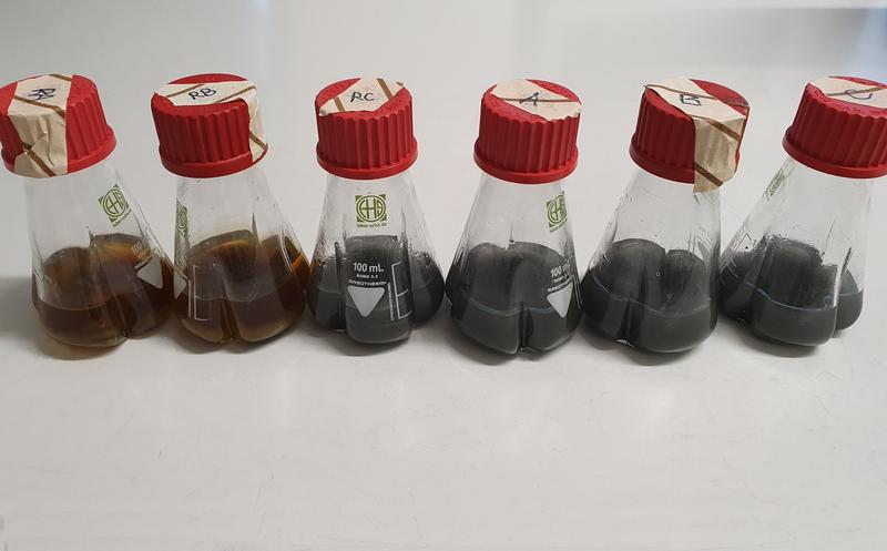 Samples with electron beam treated bacteria for bioleaching