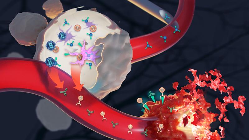 Eine neue Klasse von auf Nanoteilchen basierenden Impfstoffen könnte in einigen Jahren helfen, gegen Krebs zu impfen.