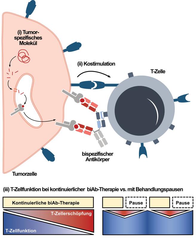 Schematische Darstellung der drei grundlegenden Ansätze.