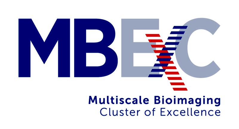 Logo Cluster of  Excellence MBExC