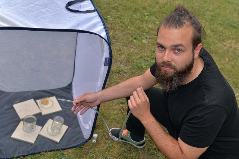 Jena PhD student and first author of the study Kenny Jandausch with an experimental set-up for twisted-wing parasites. 