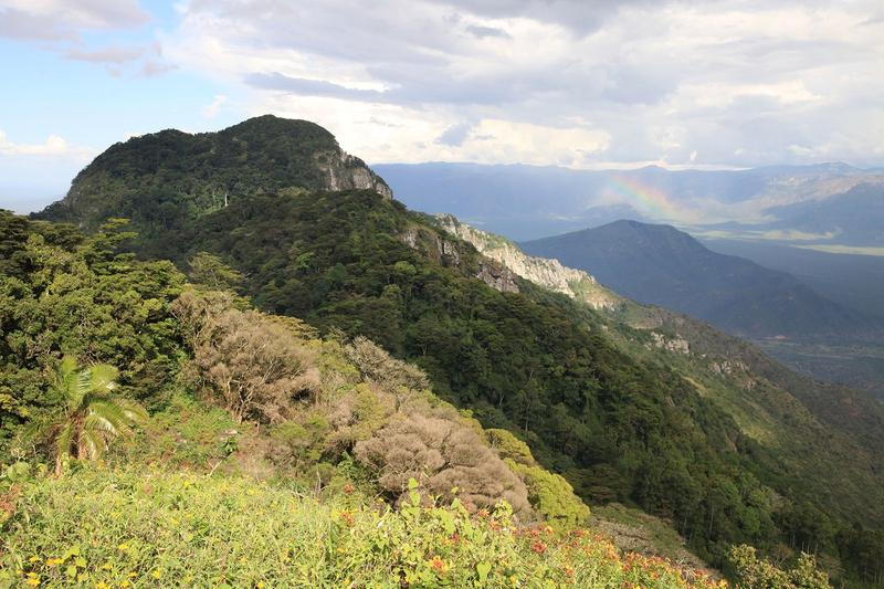 Blick auf die Südpare-Berge im Norden von Tansania.