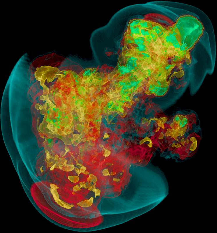 Stoßfront und turbulent verteilte Materie im Inneren eines Sterns mit 19 Sonnenmassen 7 Sekunden nach Einsetzen seiner Explosion als Supernova.